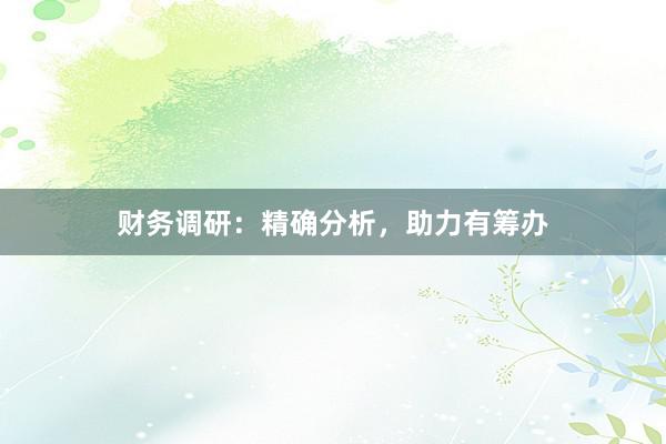 财务调研：精确分析，助力有筹办